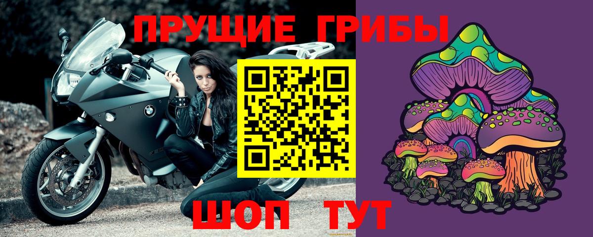 Псилоцибиновые грибы Psilocybe  Вход с VPN  Грозный 